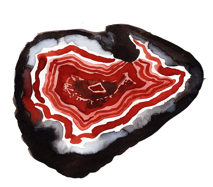 Aquarelle d'une agate