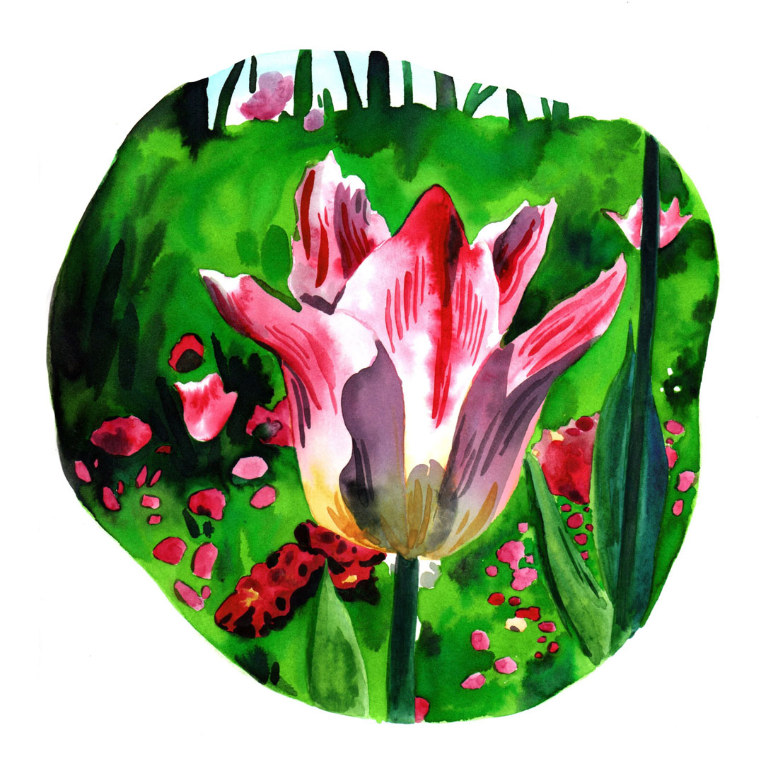 Illustration d'une fleur à l'aquarelle