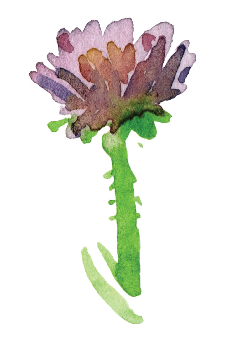 plante à l'aquarelle