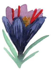 plante à l'aquarelle